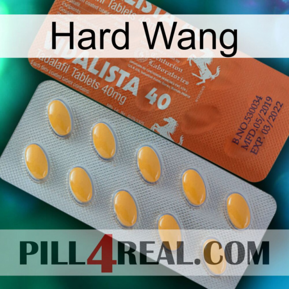 Hard Wang 43.jpg